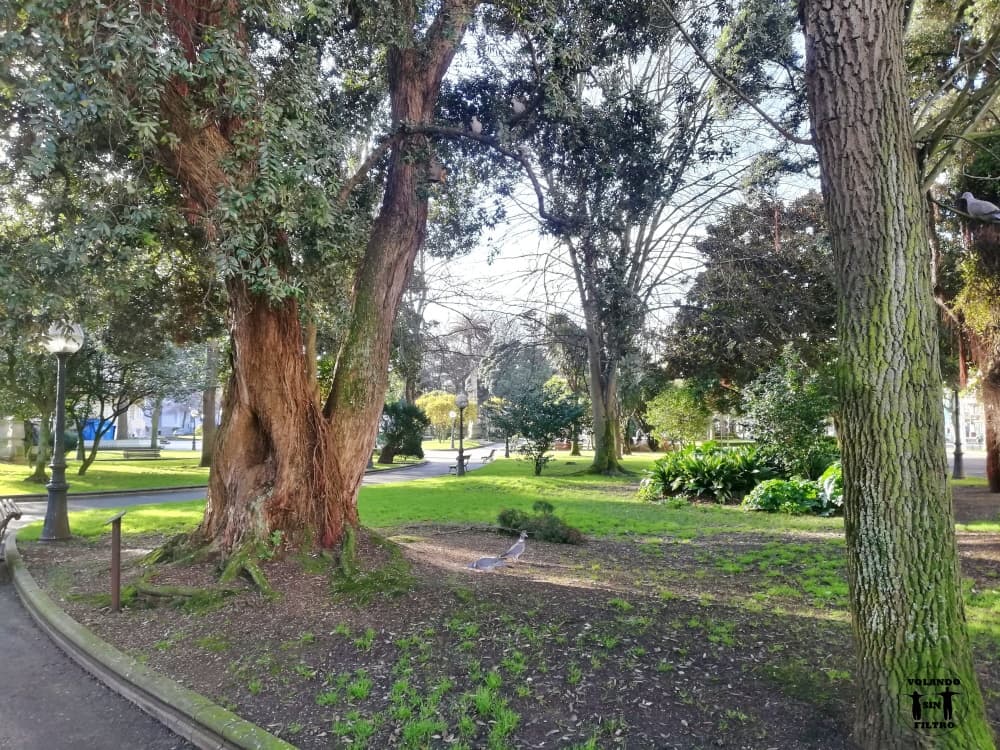 Jardines de Méndez Núñez, se ve la arboleda y algunas partes del paseo que hay en el medio del parque