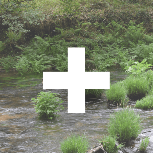 Imagen que enlaza a más 