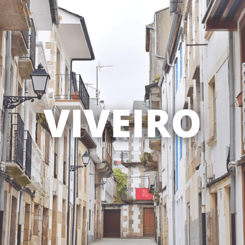 Imagen que enlaza a Viveiro