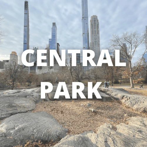 Imagen que enlaza a Central Park