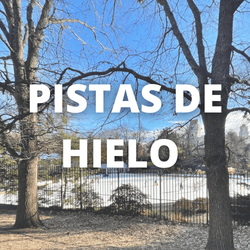 Imagen que enlaza a pistas de hielo 