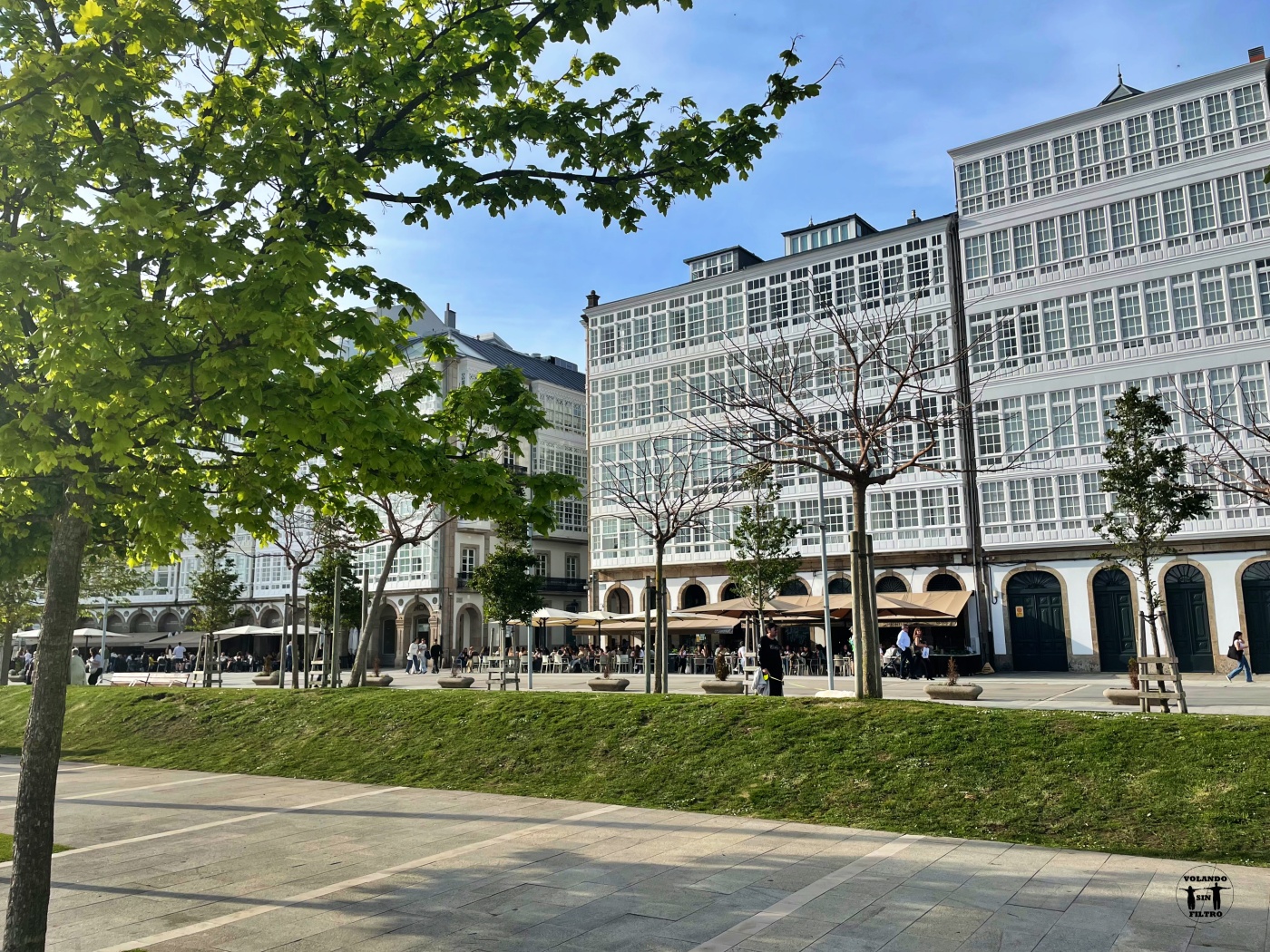 Edificios de galerias de La Marina en día despejado desde el otro lado de la calle, con árboles en primer plano