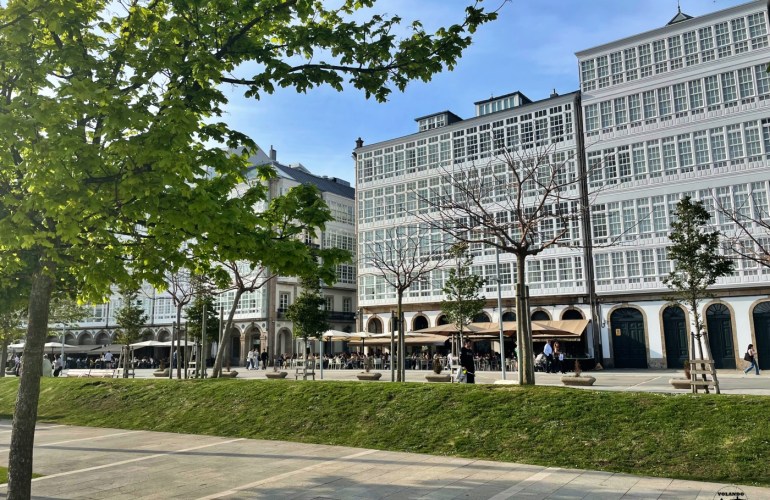 Edificios de galerias de La Marina en día despejado desde el otro lado de la calle, con árboles en primer plano