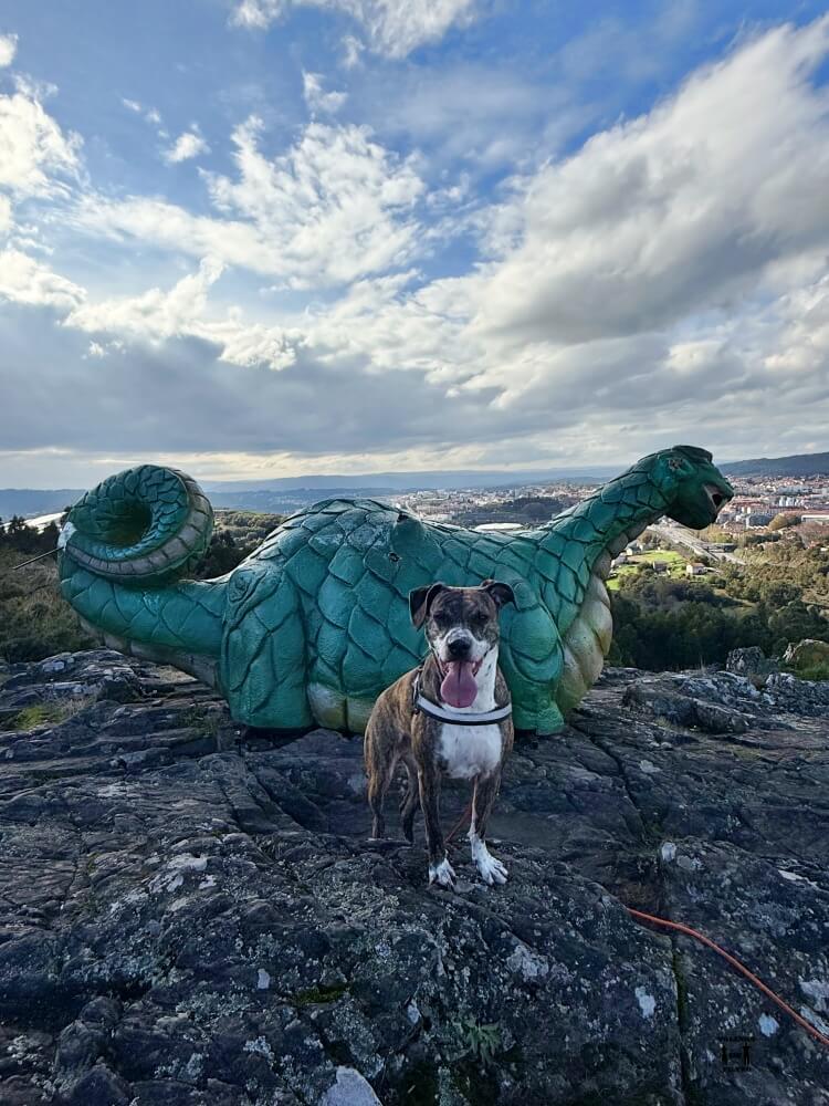 En la foto se ve la figura de A Coca de fondo, es verde y se parece a un dragón. Nala, nuestra perra está en primer plano delante de ella 