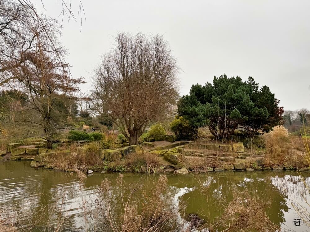 Parque de Regent's Park, zona arbolada en medio de un lago 