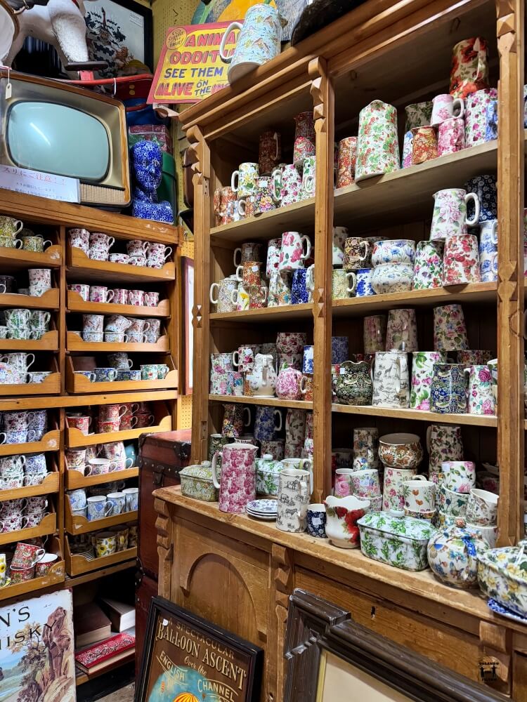 Interior de la tienda con un montón de opciones de cerámica 