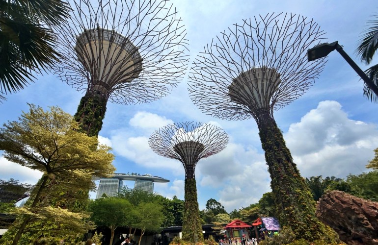 Foto para inicicar el post en el que se ven los árboles de Gandes by the bay