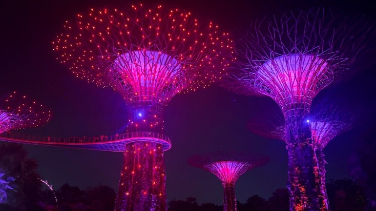 Árboles Super Tree iluminados por el espectáculo de luces 