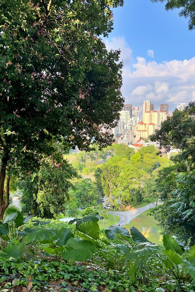 Vistas de la ciudad desde Fort Canning