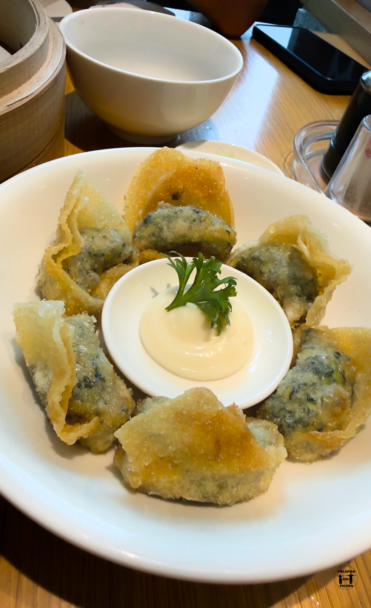 Dumplings fritos con salsa