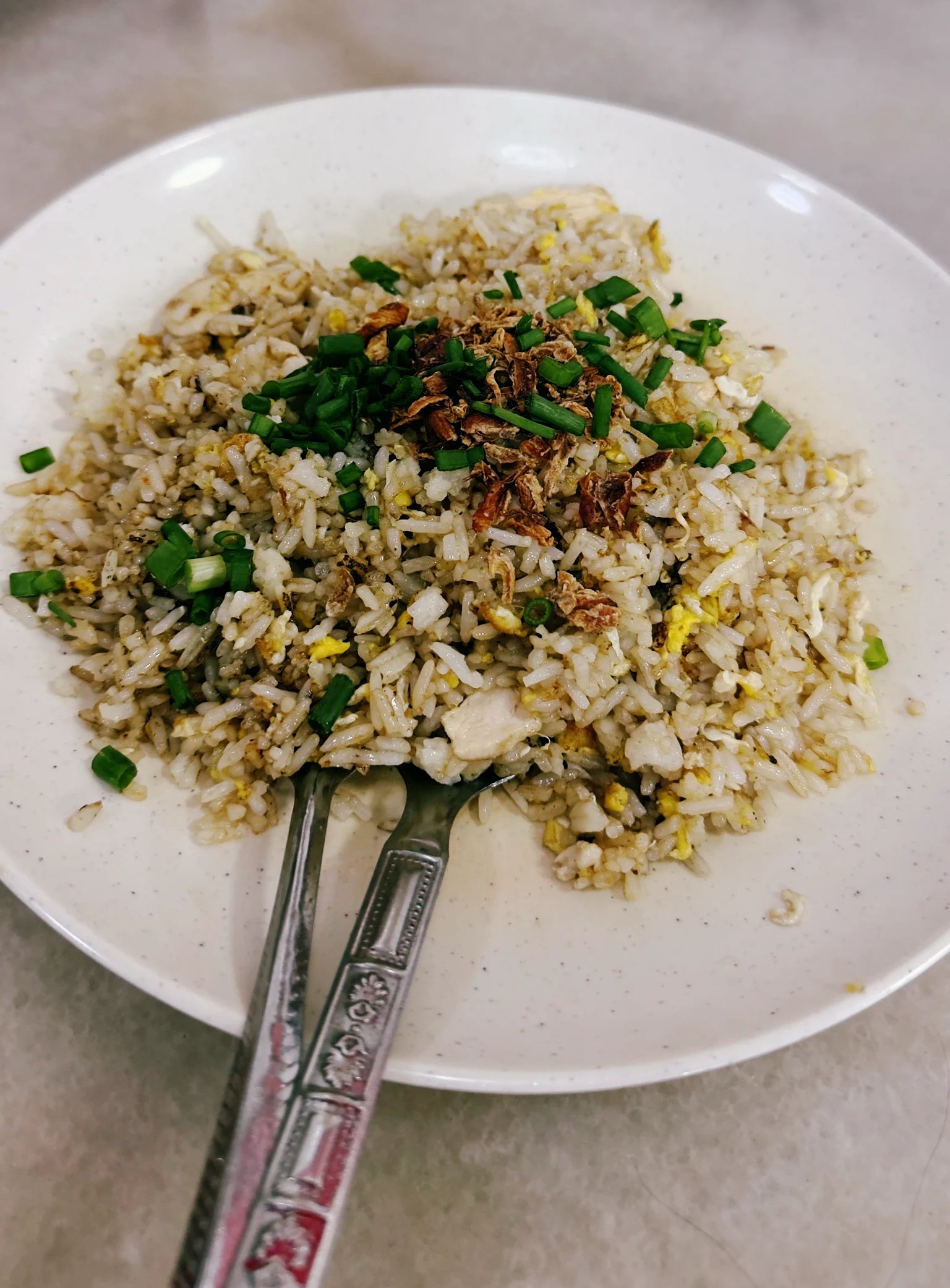Plato de arroz frito