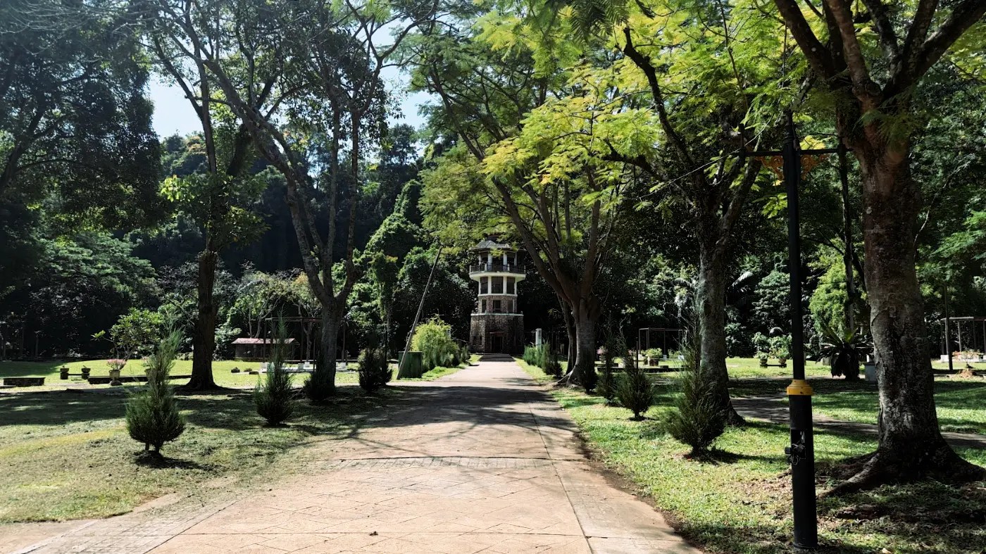 Parque con camino en el medio de árboles 